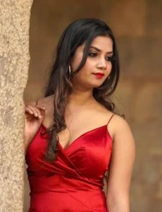 call girl service in Wadhwan